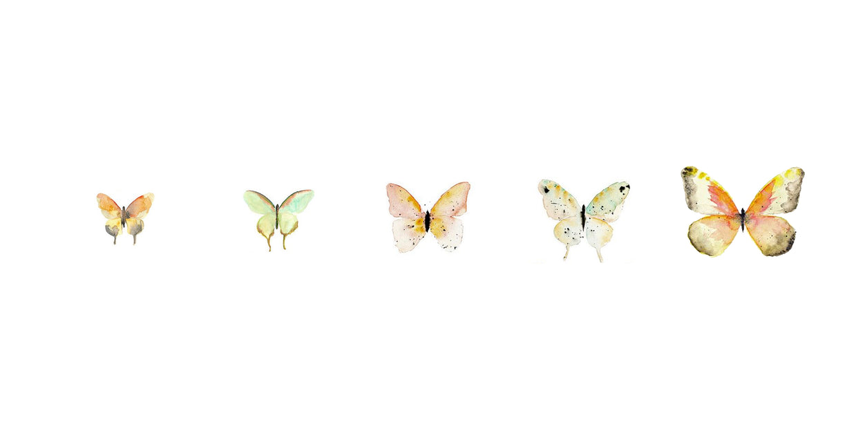 Butterfly 舞蝶 Collection by COXIVIVIAMO – COXIVIVIAMO